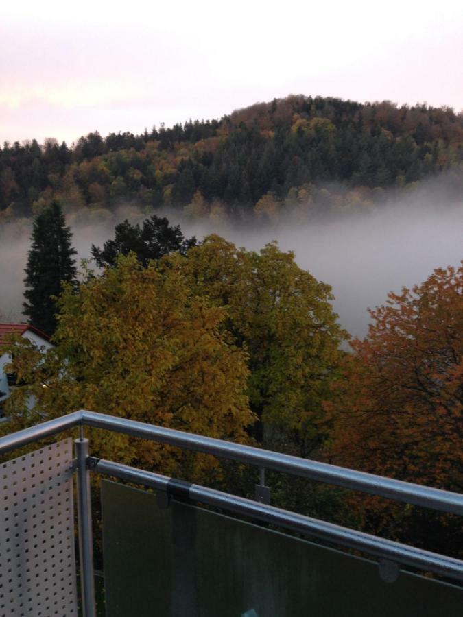 Apartment Sonnenterrasse Baden-Baden Dış mekan fotoğraf